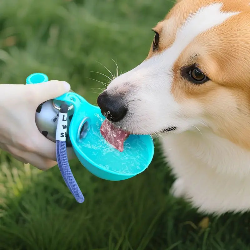 Portable Dog Water Bottle with Bowl