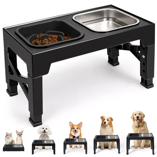 Elevated Stainless Steel Pet Bowl Set